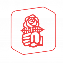 logo PSV