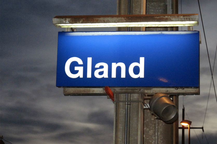 Gland
